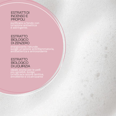 LUX SOFT MOUSSE IDRA-DETOX